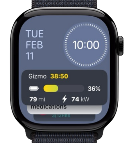 Stats for Tesla live charge activity on Apple Watch