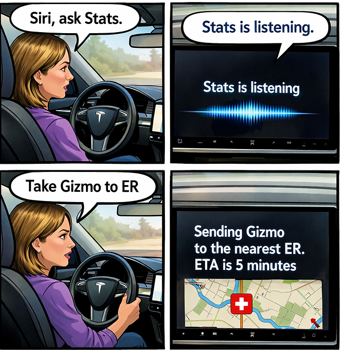 Stats for Tesla nearest ER shortcut