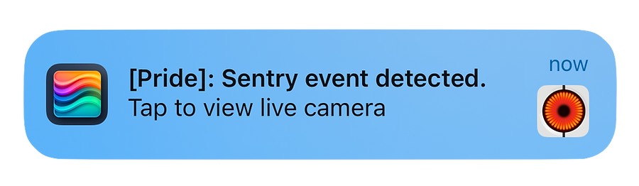 Stats for Tesla sentry notification banner