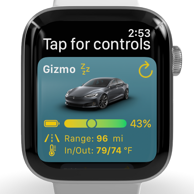 Stats for Tesla Apple Watch screen