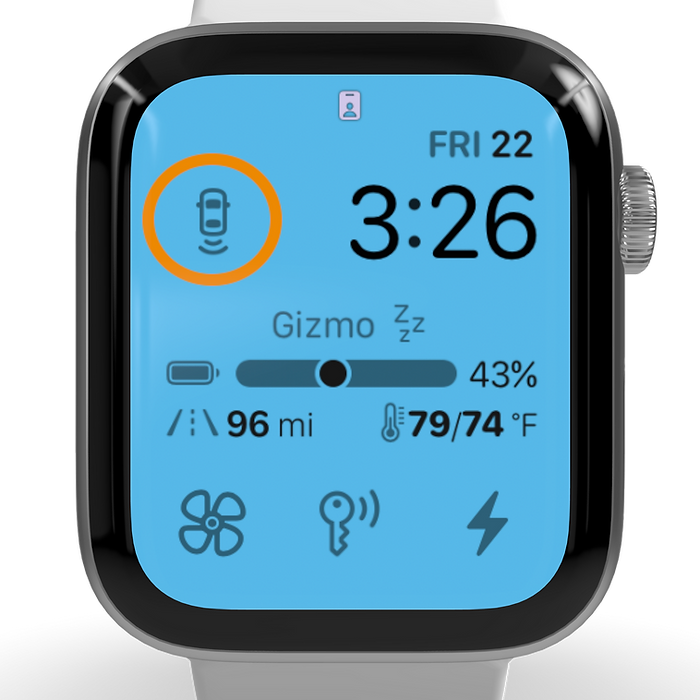 Stats for Tesla Apple Watch feature screen