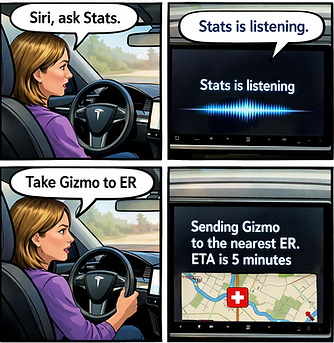 Nearest ER routing in Stats for Tesla