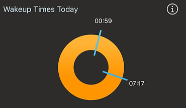 Wake times chart in Stats for Tesla